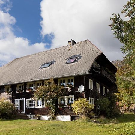 Waelder: Quartier Dachsberg Vila Dachsberg im Schwarzwald Exterior foto